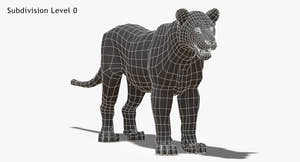 Big Cats 3D Model Thumbnail