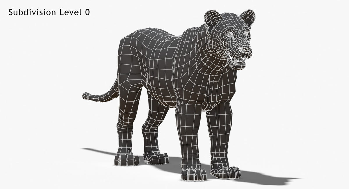 Big Cats 3D Model