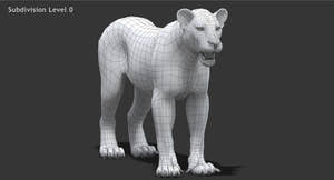 Realistic Lioness 3D Model: Wireframe view subdivision 0 Thumbnail