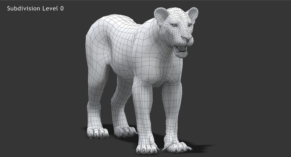 Realistic Lioness 3D Model: Wireframe view subdivision 0