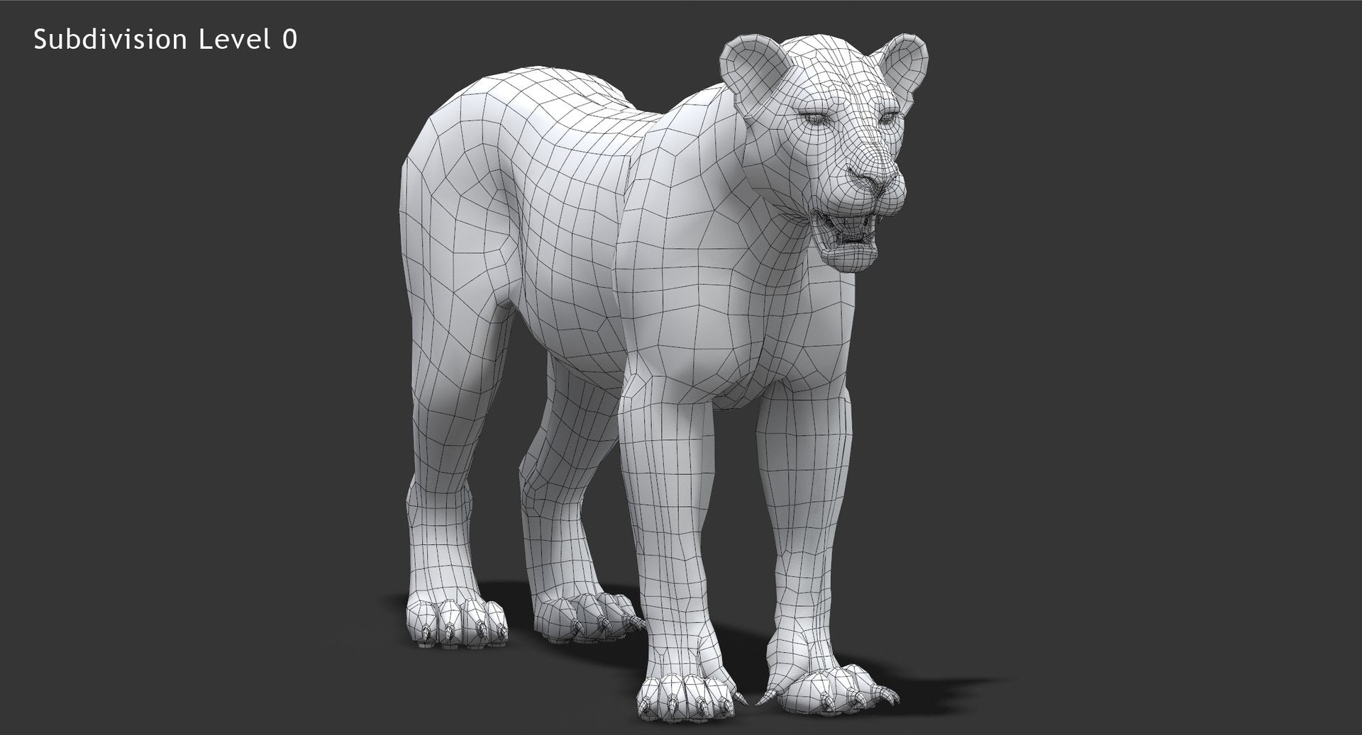 Realistic Lioness 3D Model Wireframe View