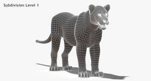 Lioness 3D Model Wireframe View, Subdivision Level 1 Thumbnail