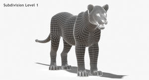 Lioness 3D Model Wireframe View, Subdivision Level 1 Thumbnail