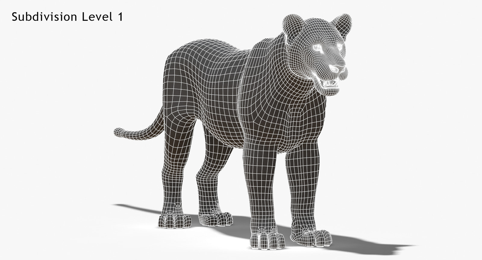 Lioness 3D Model Wireframe View, Subdivision Level 1
