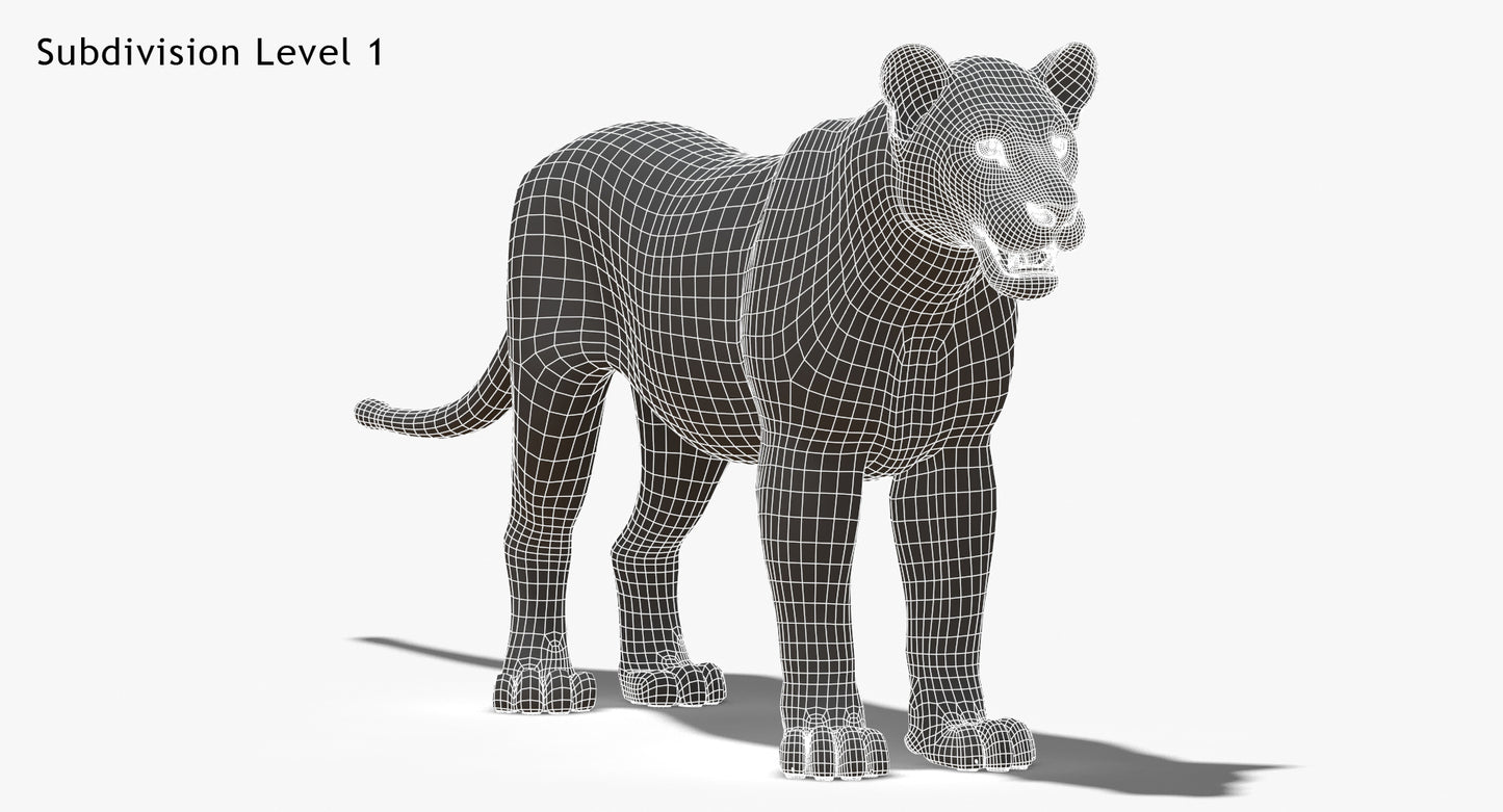 Big Cats 03 3D Model