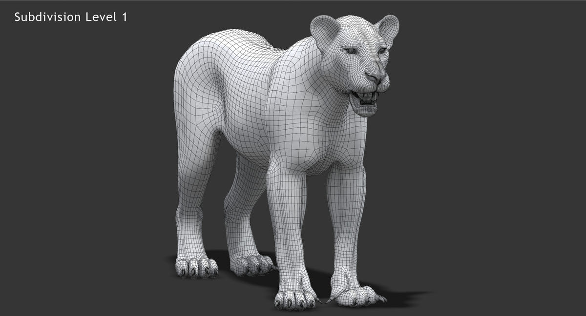 Realistic Lioness 3D Model Wireframe View Subdivision 1