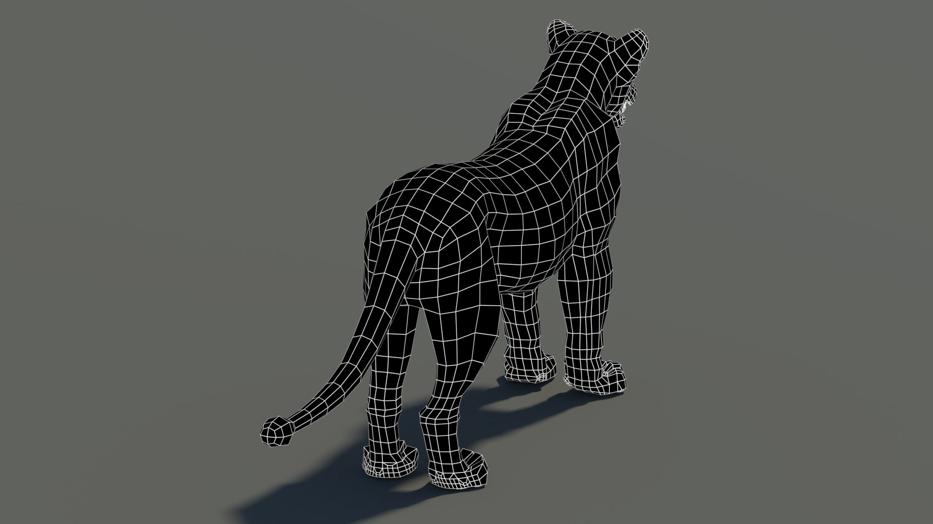 Lioness 3D Model Wireframe View 0