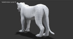 Realistic Lioness 3D Model: Wireframe view subdivision 0 Thumbnail