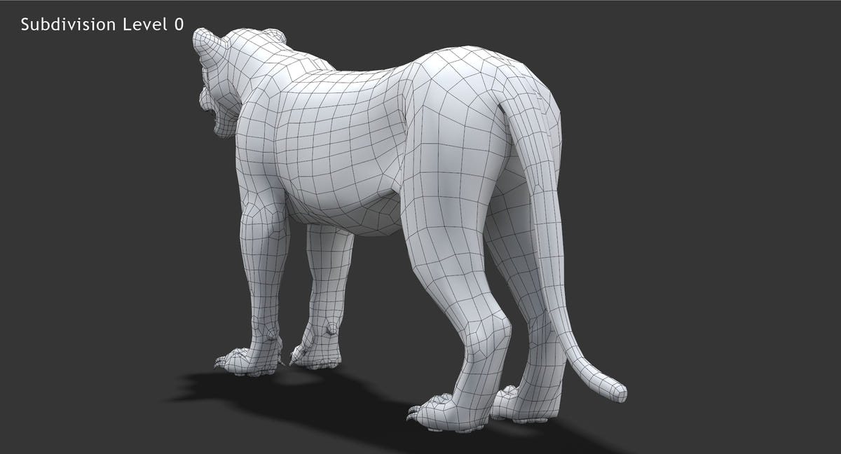 Realistic Lioness 3D Model: Wireframe view subdivision 0