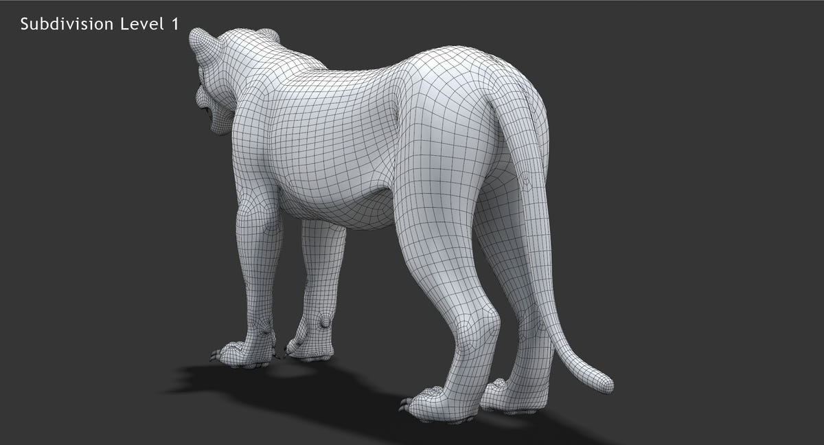 Realistic Lioness 3D Model Wireframe View Subdivision 1 back view