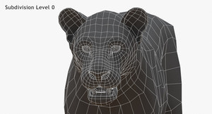 Big Cats 3D Model Thumbnail
