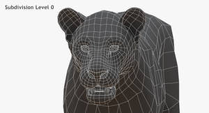 Big Cats 3D Model Thumbnail