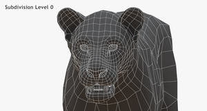 Big Cats 3D Model Thumbnail