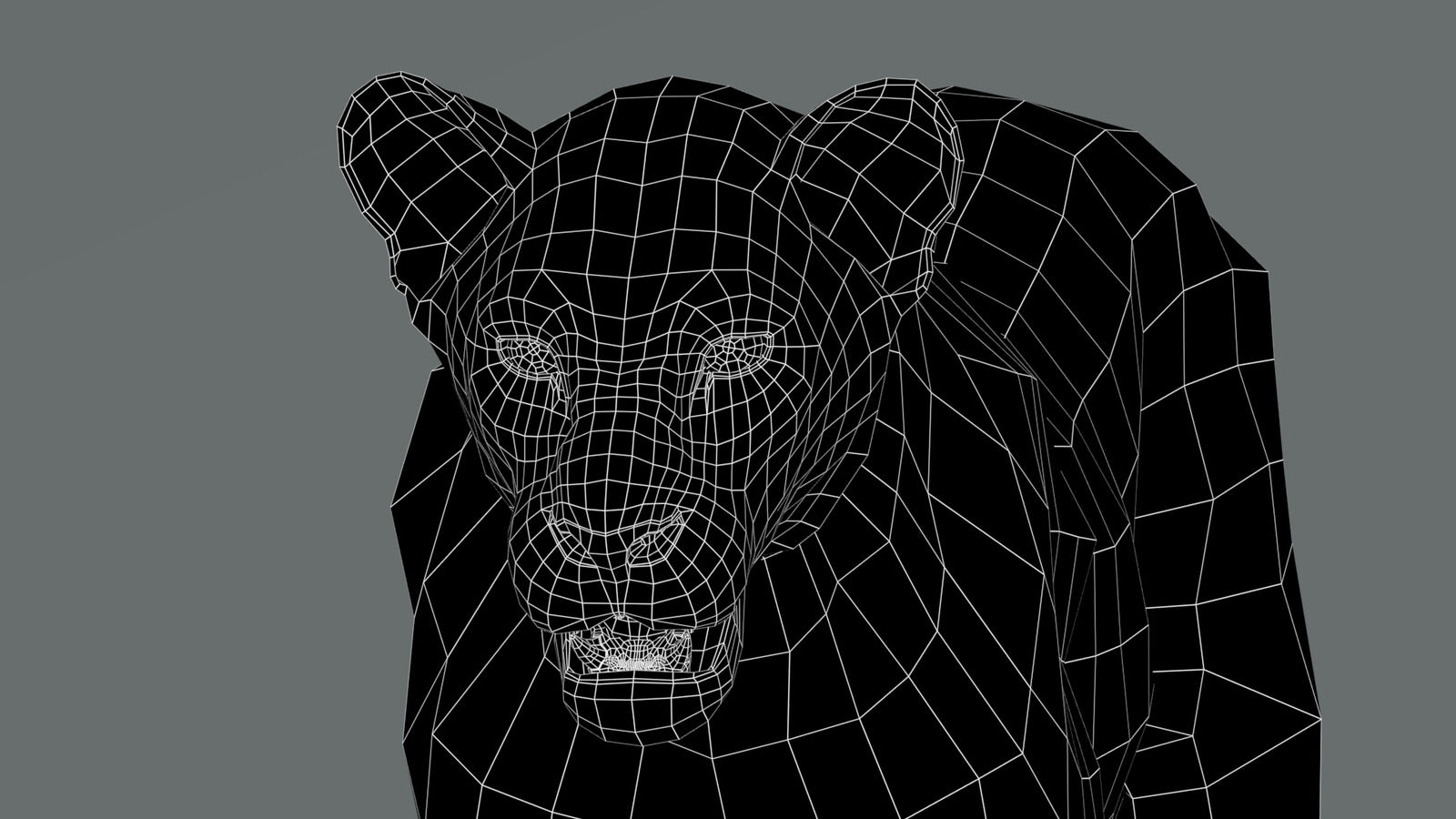 Lioness 3D Model Wireframe View 0