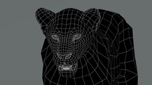 Lioness 3D Model Wireframe View 0 Thumbnail