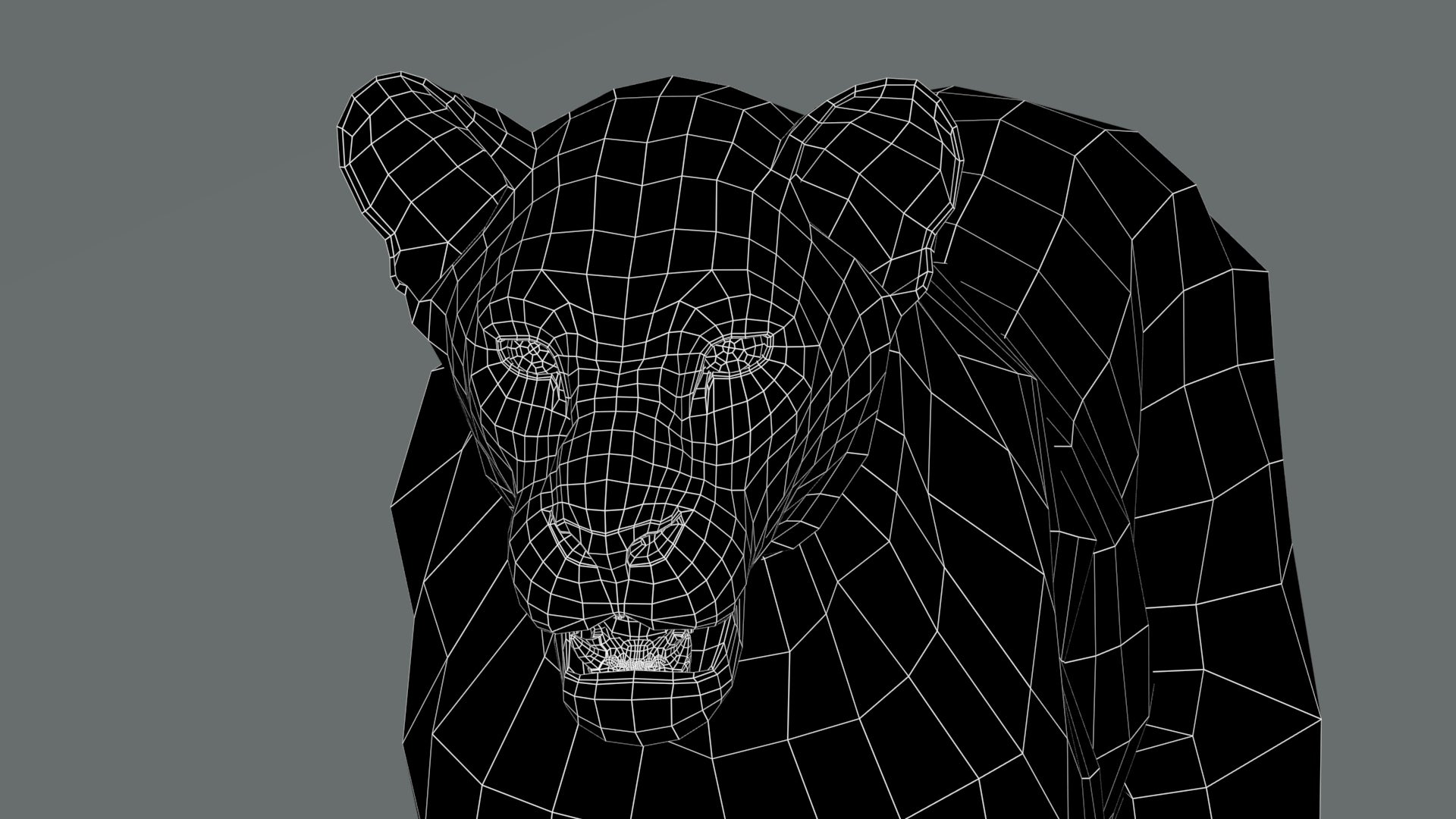 Lioness 3D Model Wireframe View 0