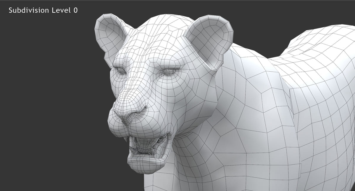 Realistic Lioness 3D Model : Wireframe View Subdivision 0 - Head close up