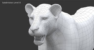 Realistic Lioness 3D Model Wireframe View Close Up 0 Thumbnail