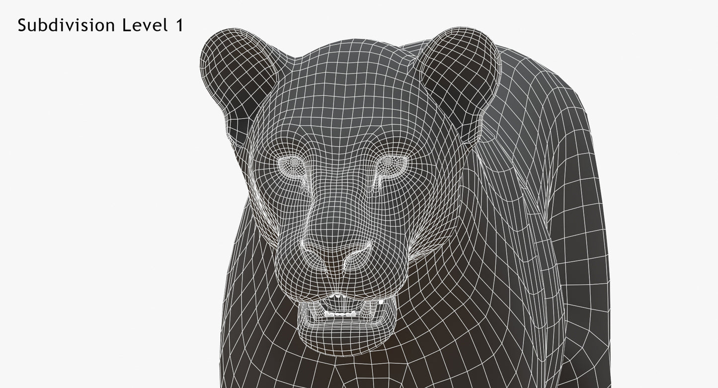 Big Cats 03 3D Model