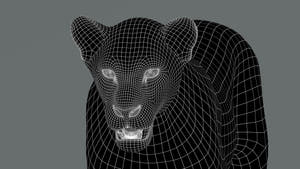 Lioness 3D Model Wireframe View 0 Thumbnail