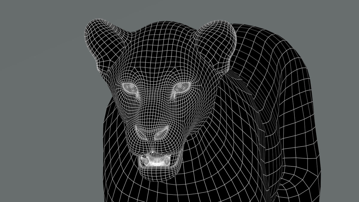 Lioness 3D Model Wireframe View 0