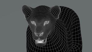 Lioness 3D Model Wireframe View 0 Thumbnail