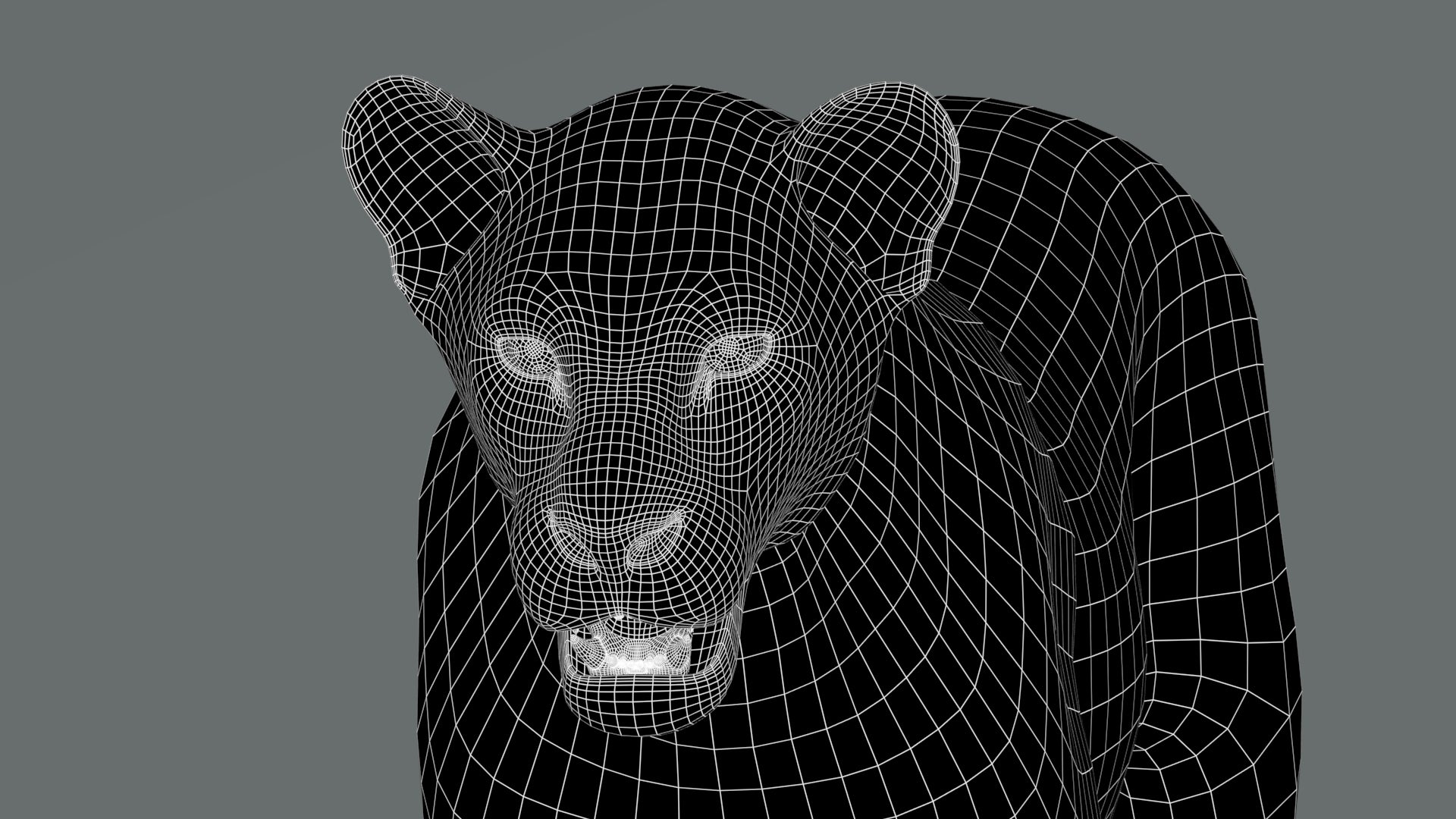 Lioness 3D Model Wireframe View 0