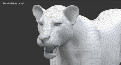 Big Cats 04 3D Model