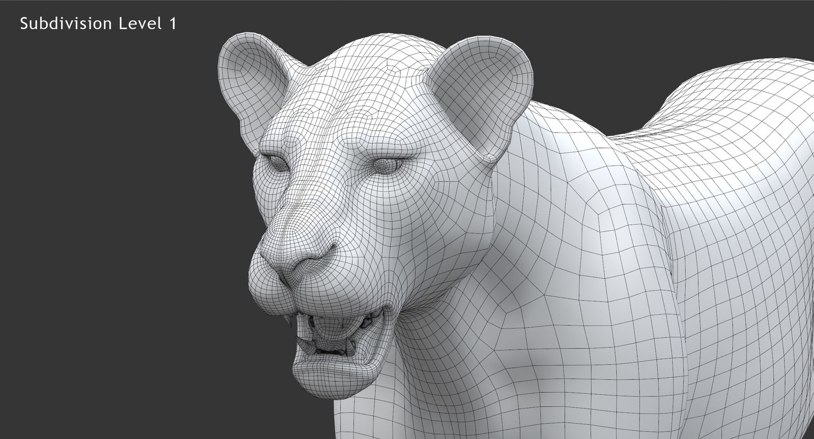 Realistic Lioness 3D Model Wireframe View Close Up 1