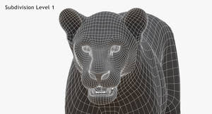 Big Cats 3D Model Thumbnail