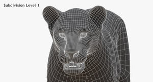 Big Cats 3D Model Thumbnail