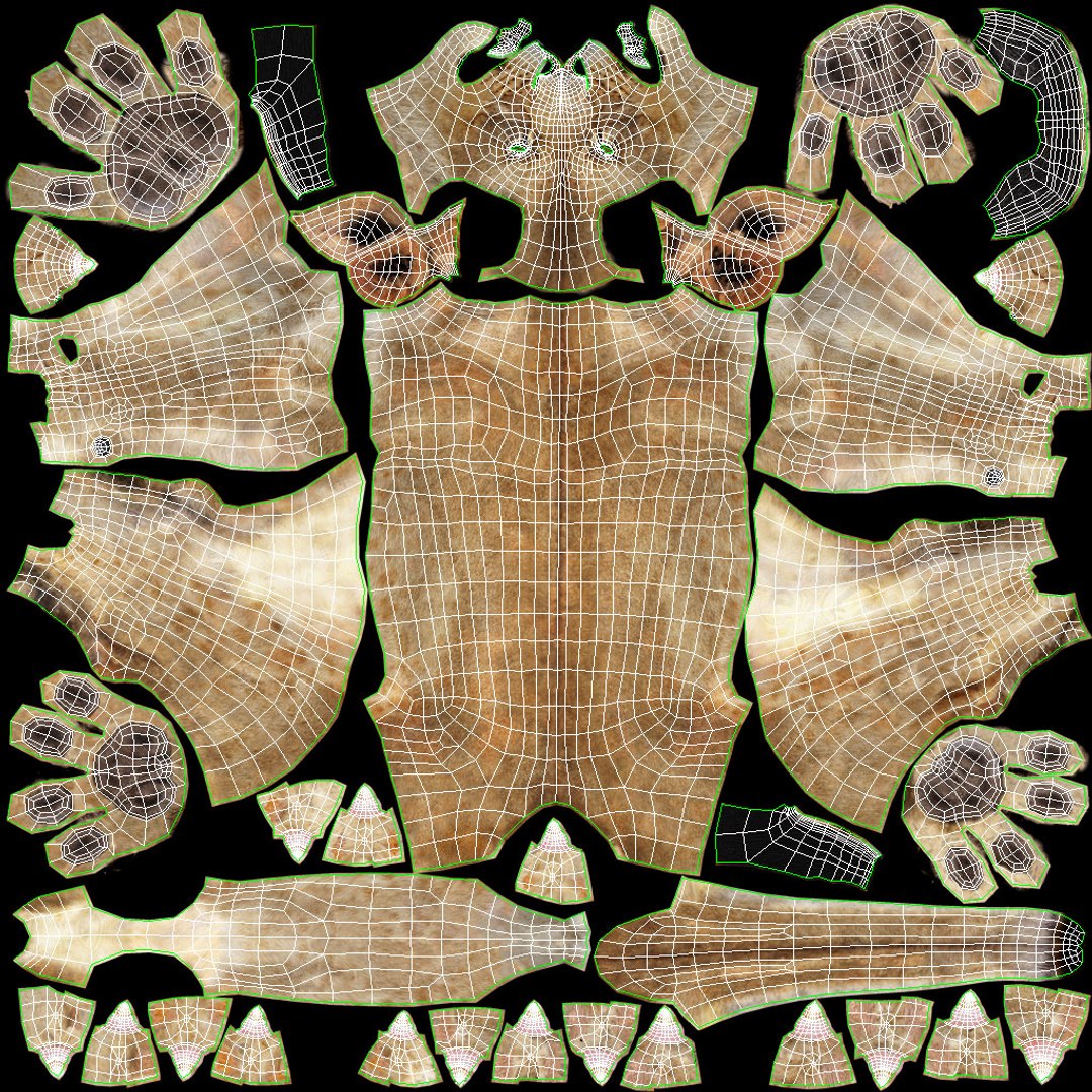 Lioness 3D Model Body UVs
