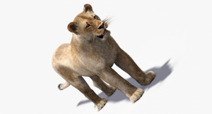 Lioness 3D Model with Fur — VFX-Ready Thumbnail