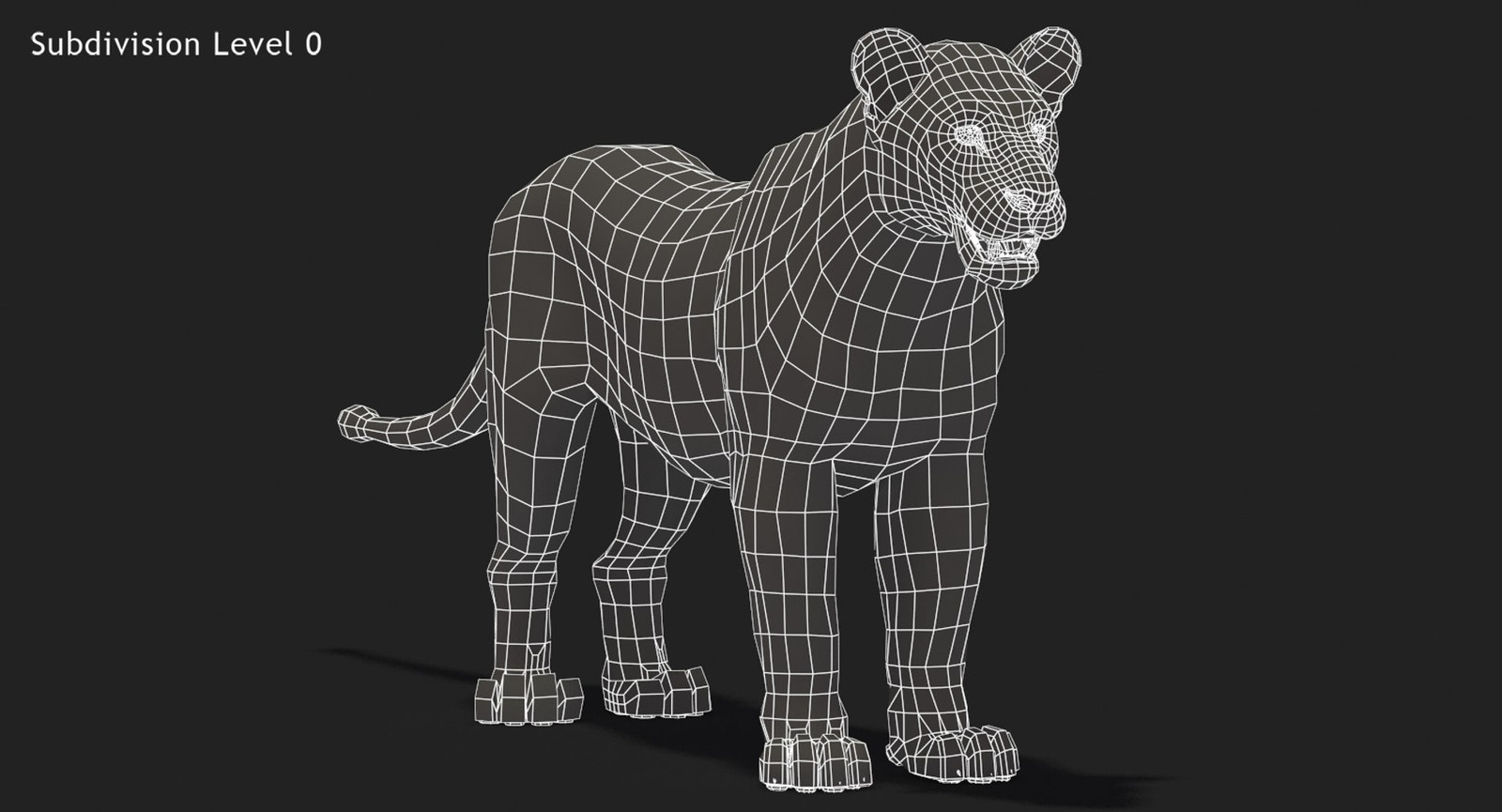 Lioness 3D Model Wireframe View - Subdivision Level 0