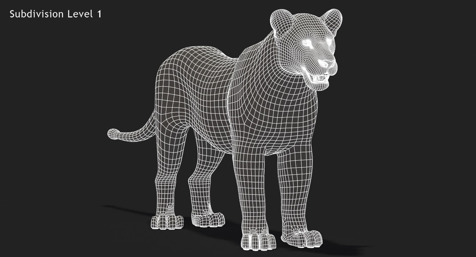 Lioness 3D Model Wireframe View - Subdivision Level 1