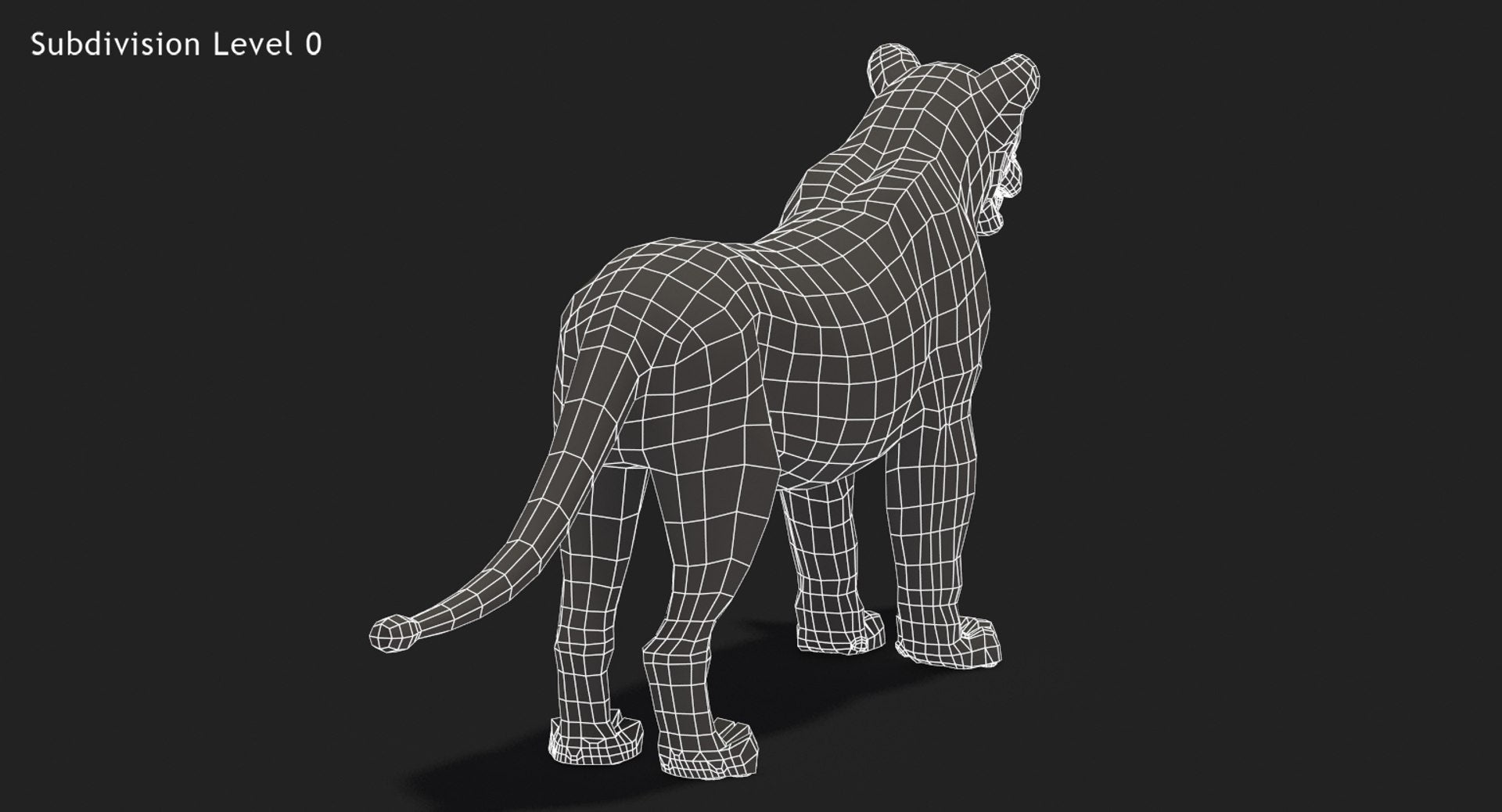 Lioness 3D Model Wireframe View - Subdivision Level 0
