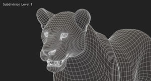 Lioness 3D Model Wireframe View - Subdivision Level 1 Thumbnail