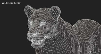 Lioness Fur 3D Model
