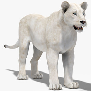 Lioness White 3D Model Thumbnail