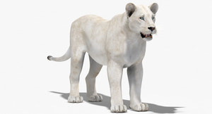 Lioness White 3D Model Thumbnail