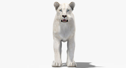 Lioness White 3D Model