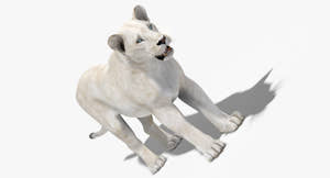 Realistic White Lioness 3D Model for Download Thumbnail