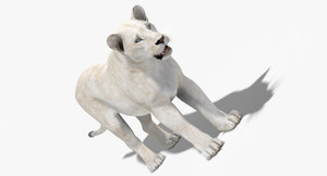 Realistic White Lioness 3D Model for Download Thumbnail