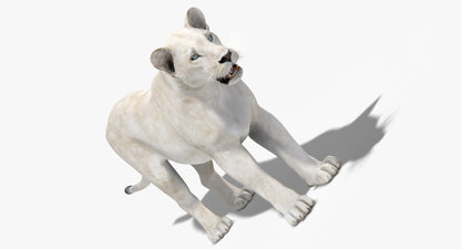 Lioness White 3D Model