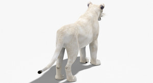 Realistic White Lioness 3D Model for Download Thumbnail