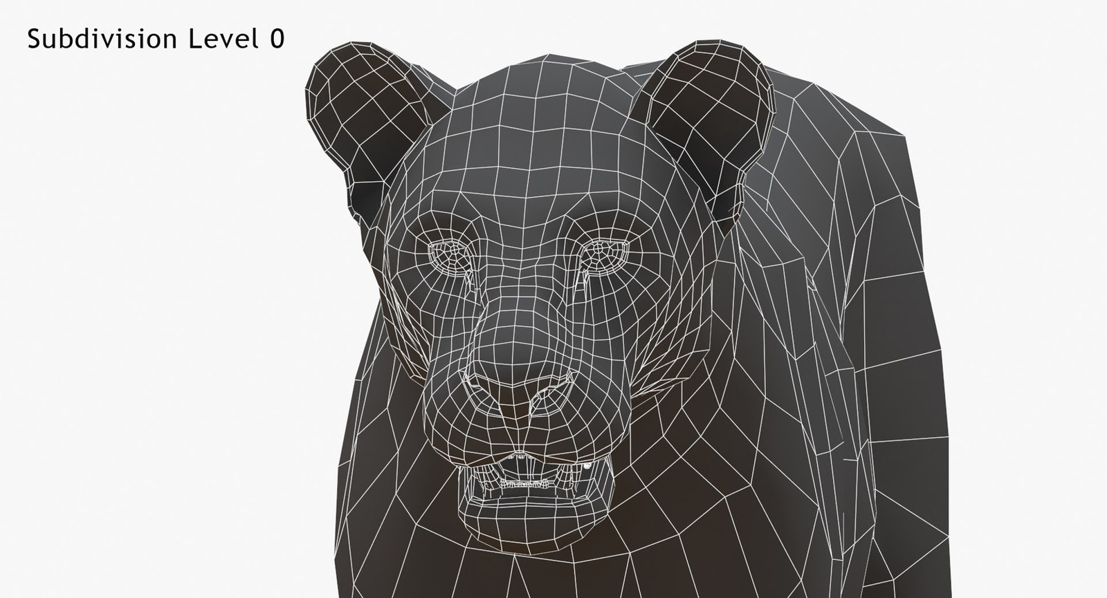 White Lioness 3D Model Wireframe View - Subdivision Level 0