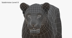 White Lioness 3D Model Wireframe View - Subdivision Level 0 Thumbnail