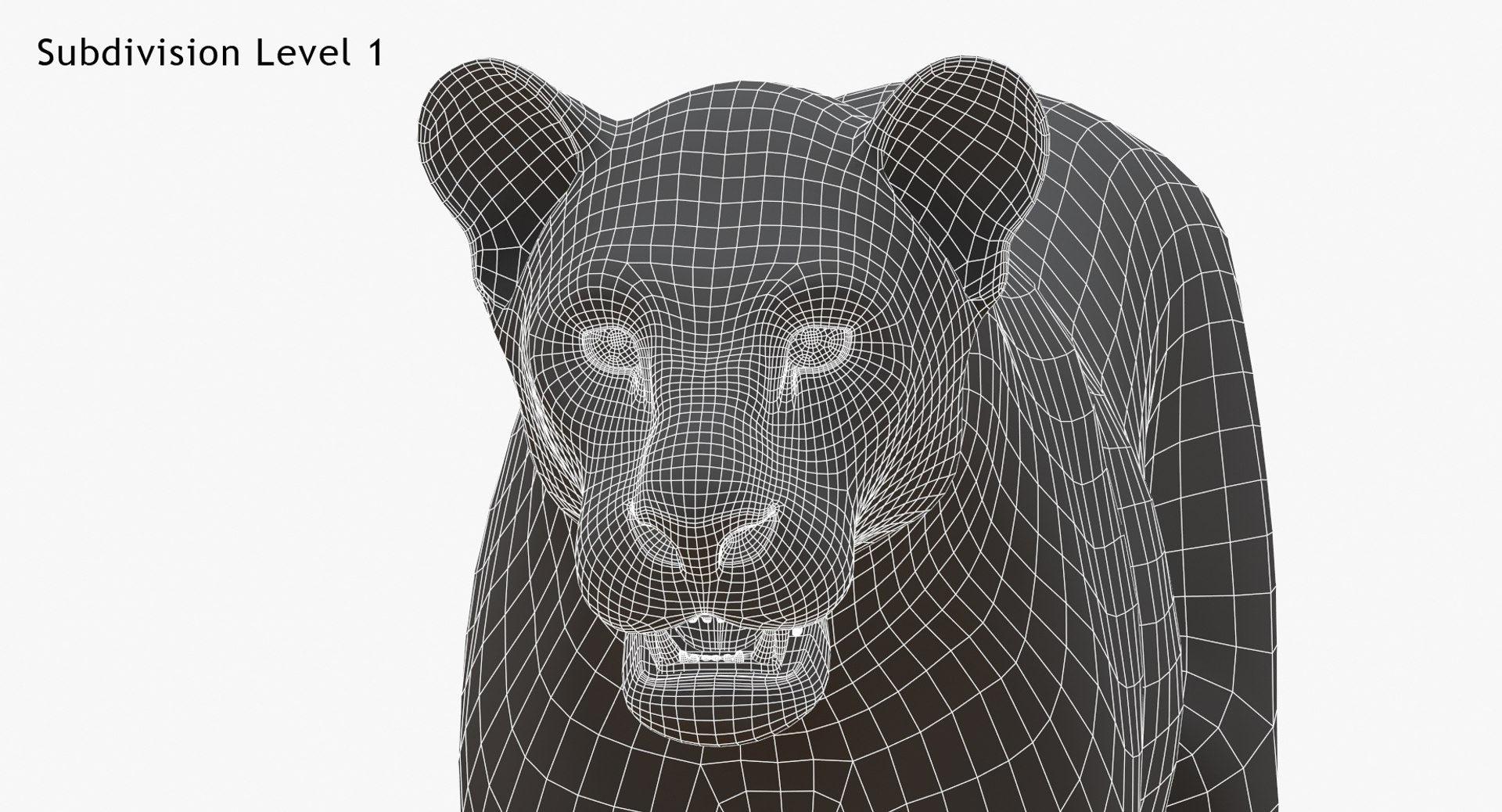 White Lioness 3D Model Wireframe View - Subdivision Level 1