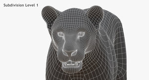 White Lioness 3D Model Wireframe View - Subdivision Level 1 Thumbnail