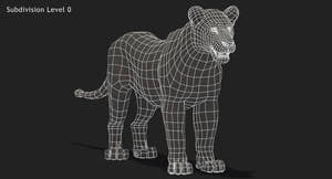 Big Cats 3D Model Animated Thumbnail